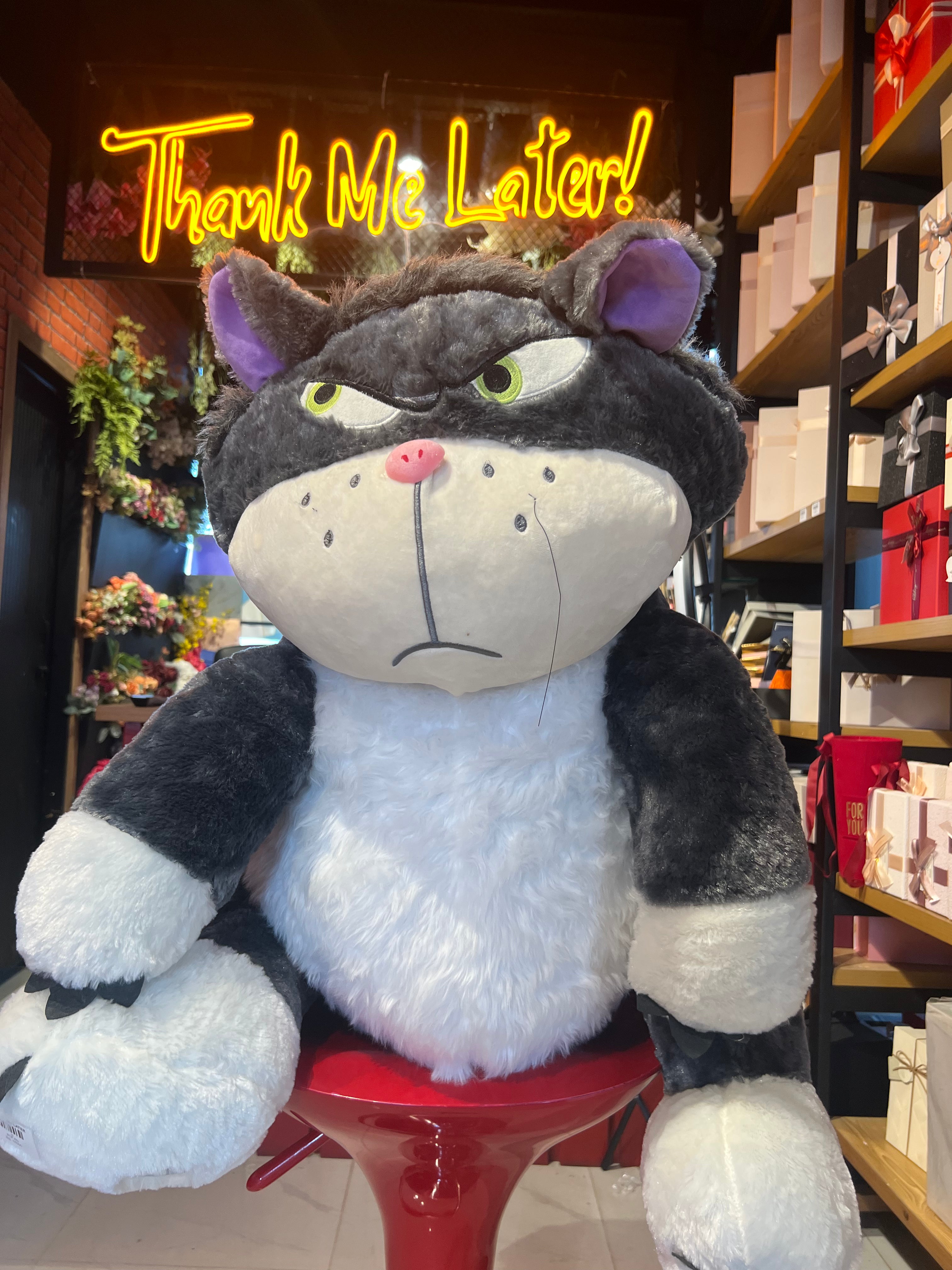 Naughty Cat Plush