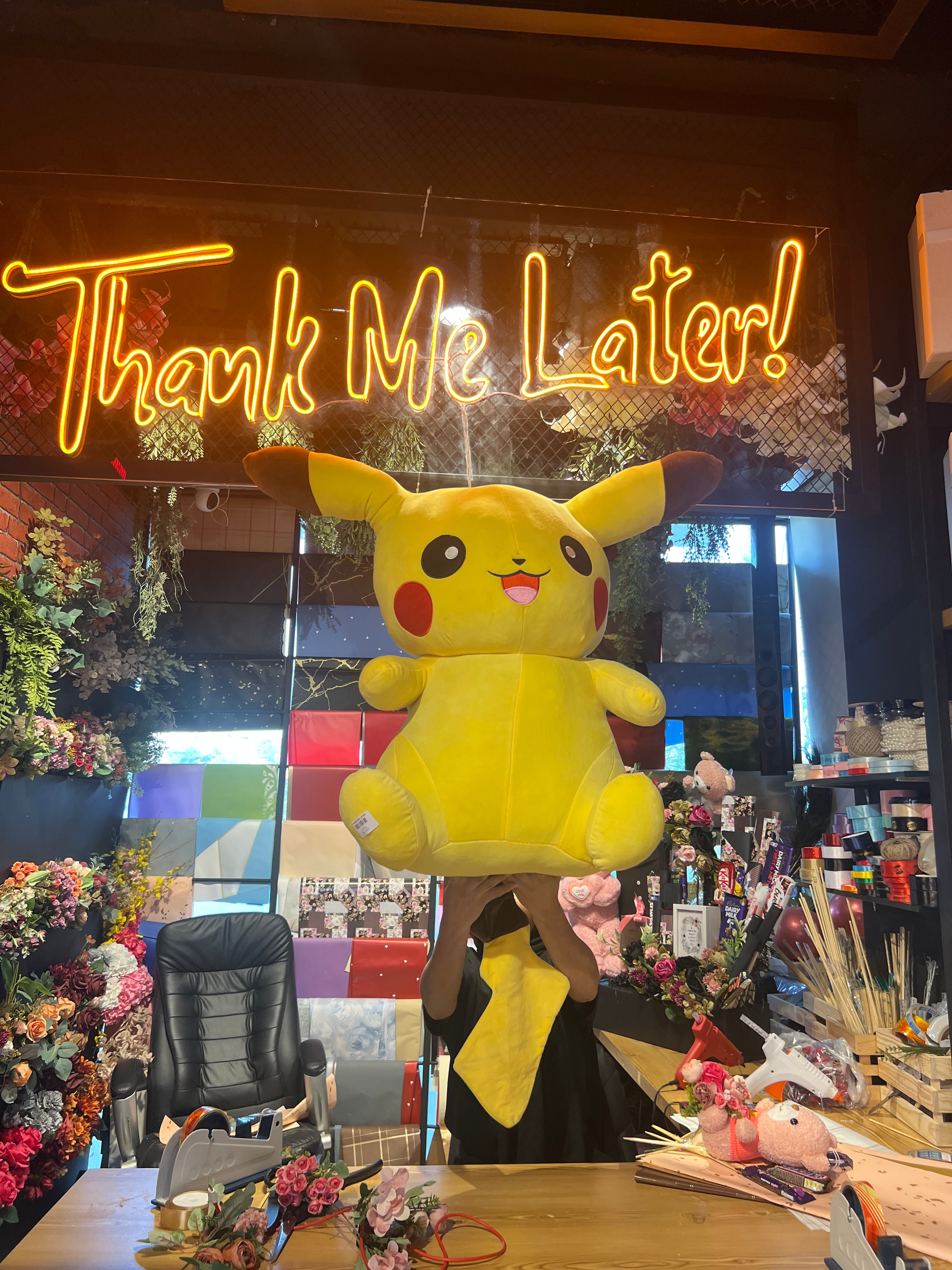 Pikachu Teddy