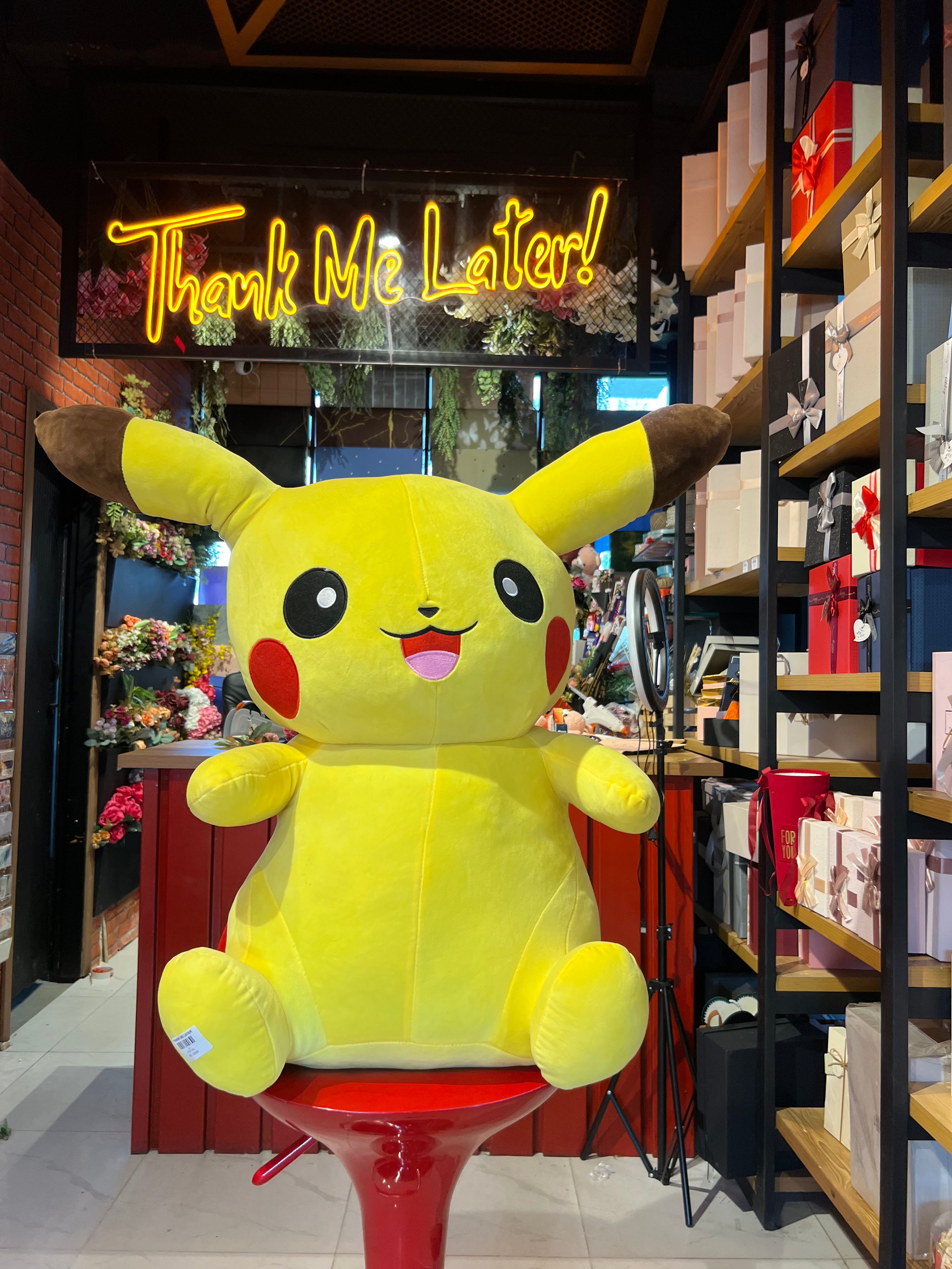 Pikachu Teddy
