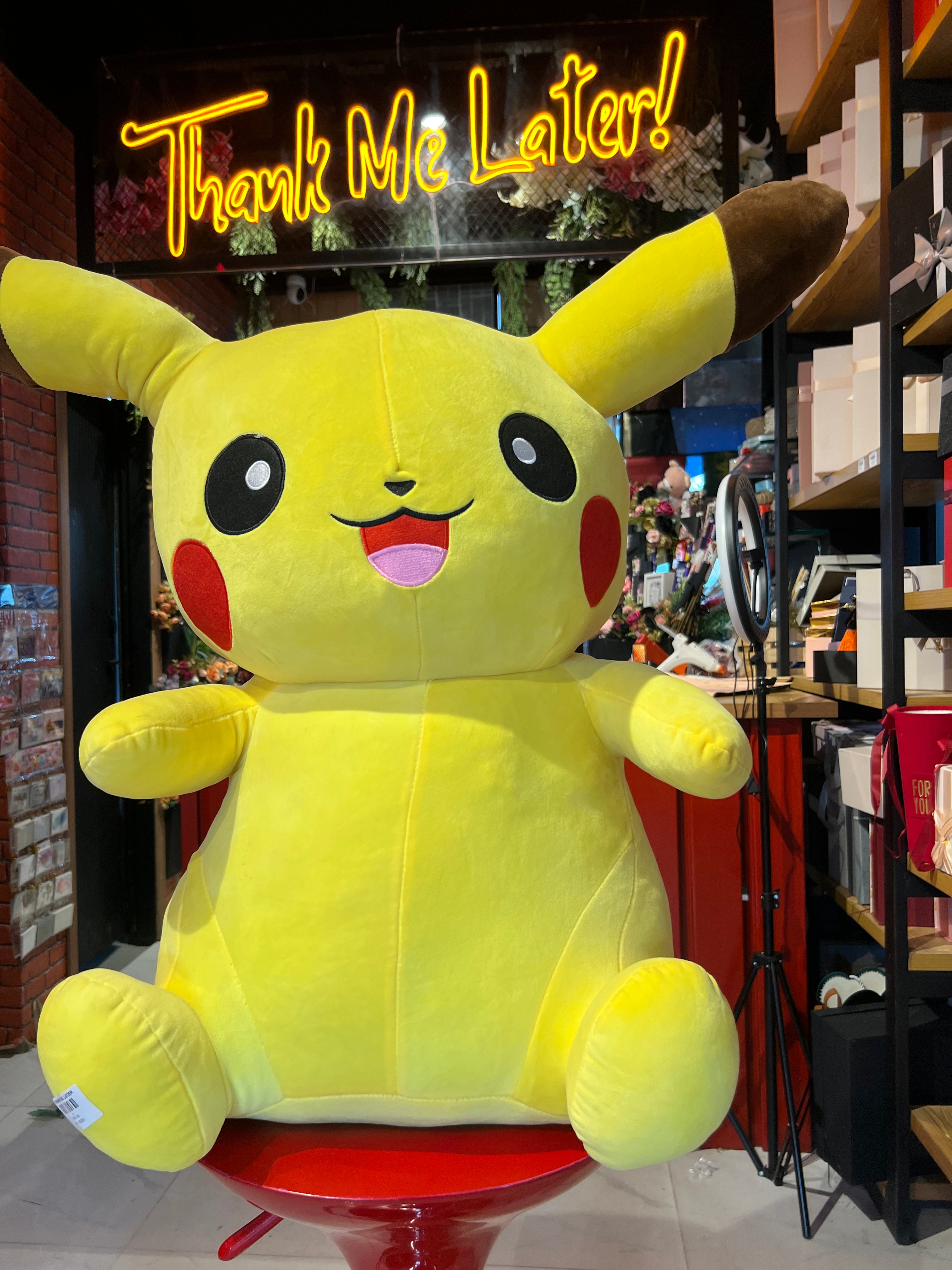 Pikachu Teddy