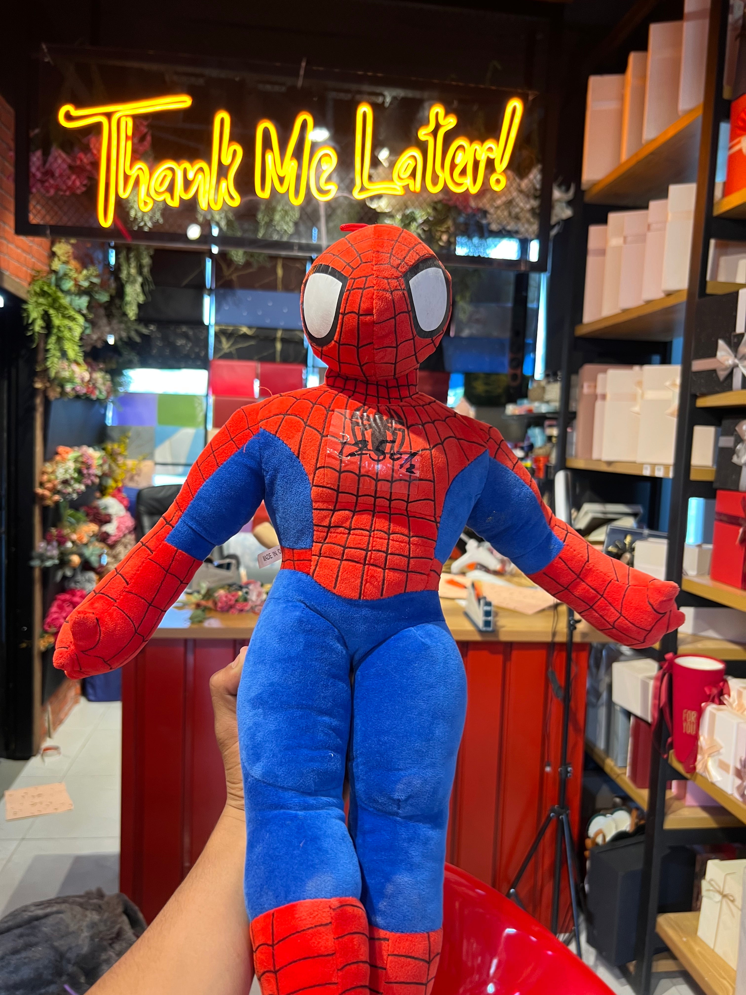Spiderman Teddy