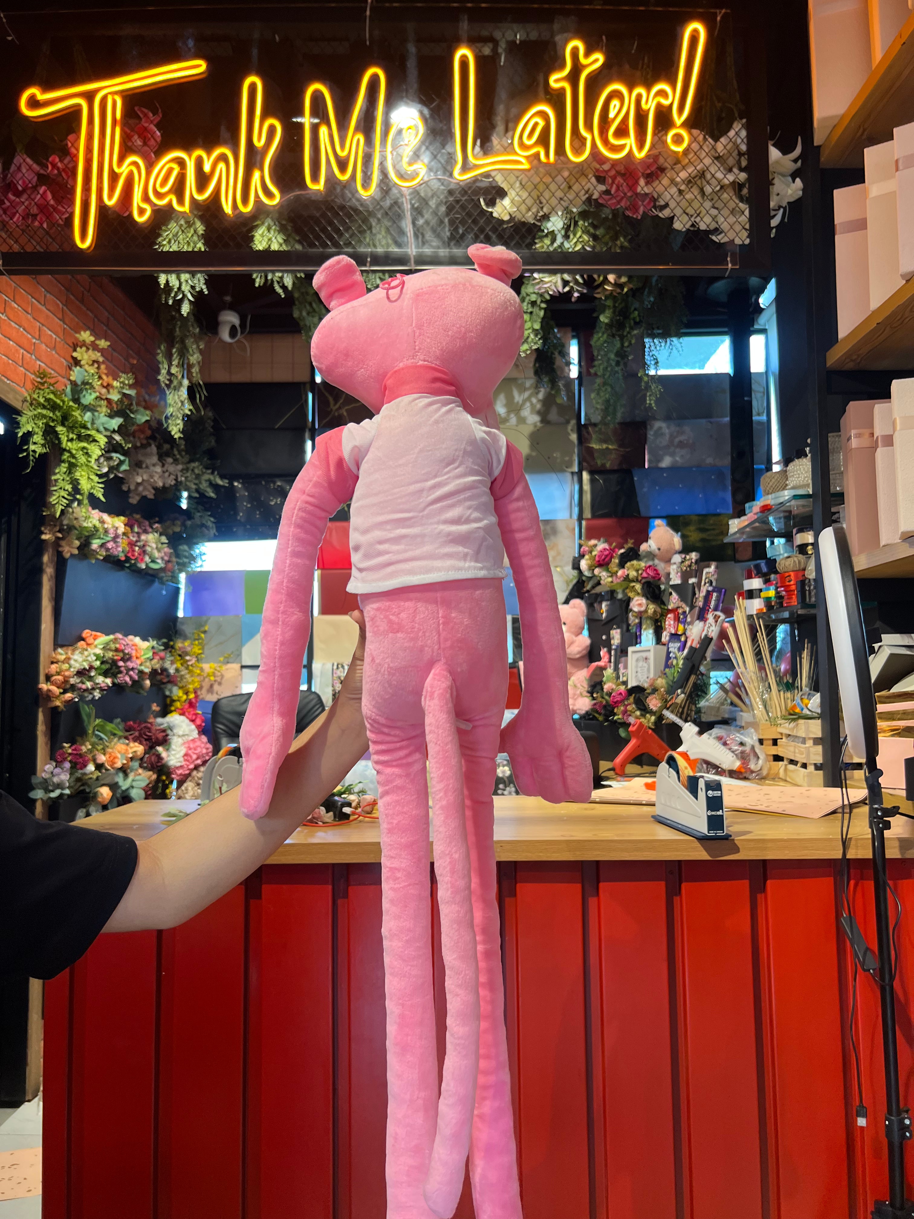Pink Panther Teddy