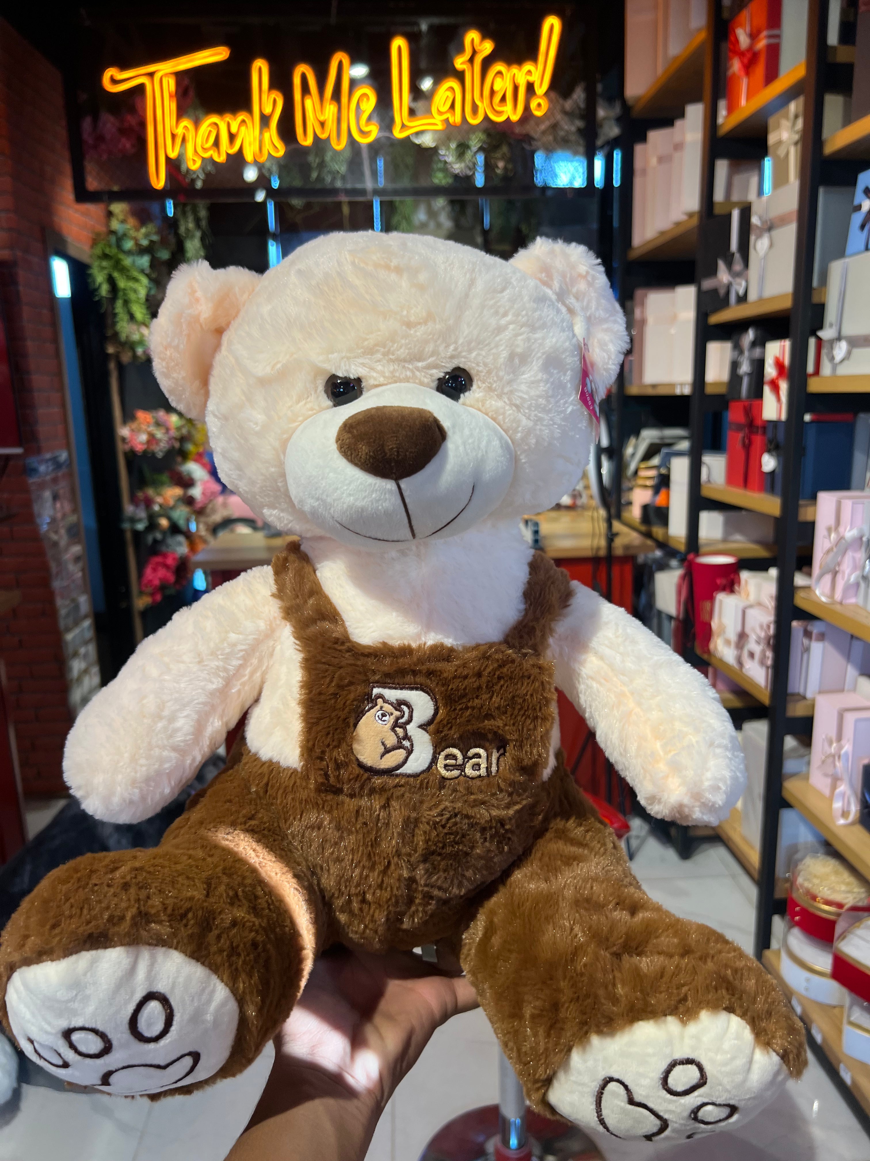 Sweet Teddy in Brown Dress