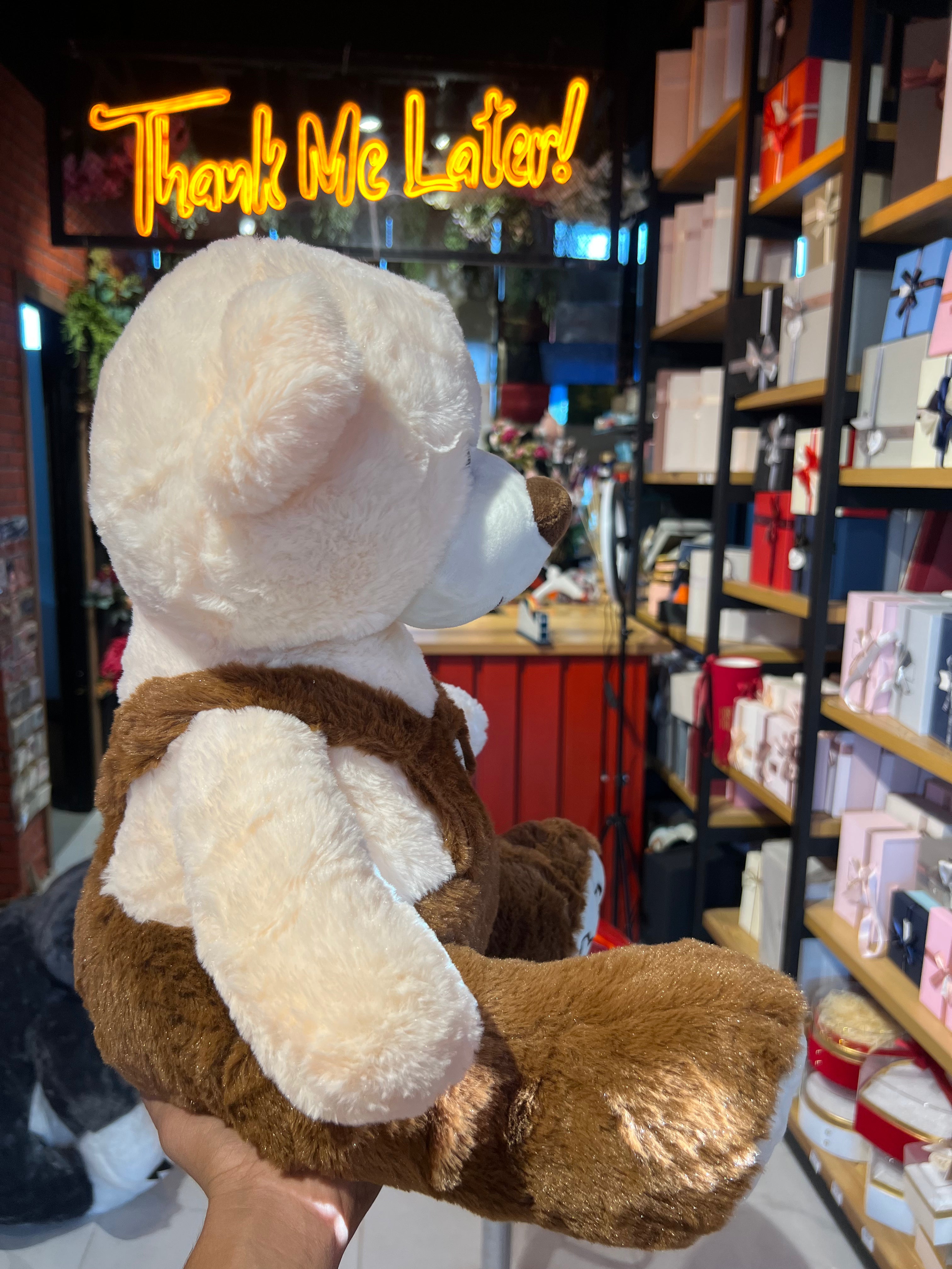 Sweet Teddy in Brown Dress