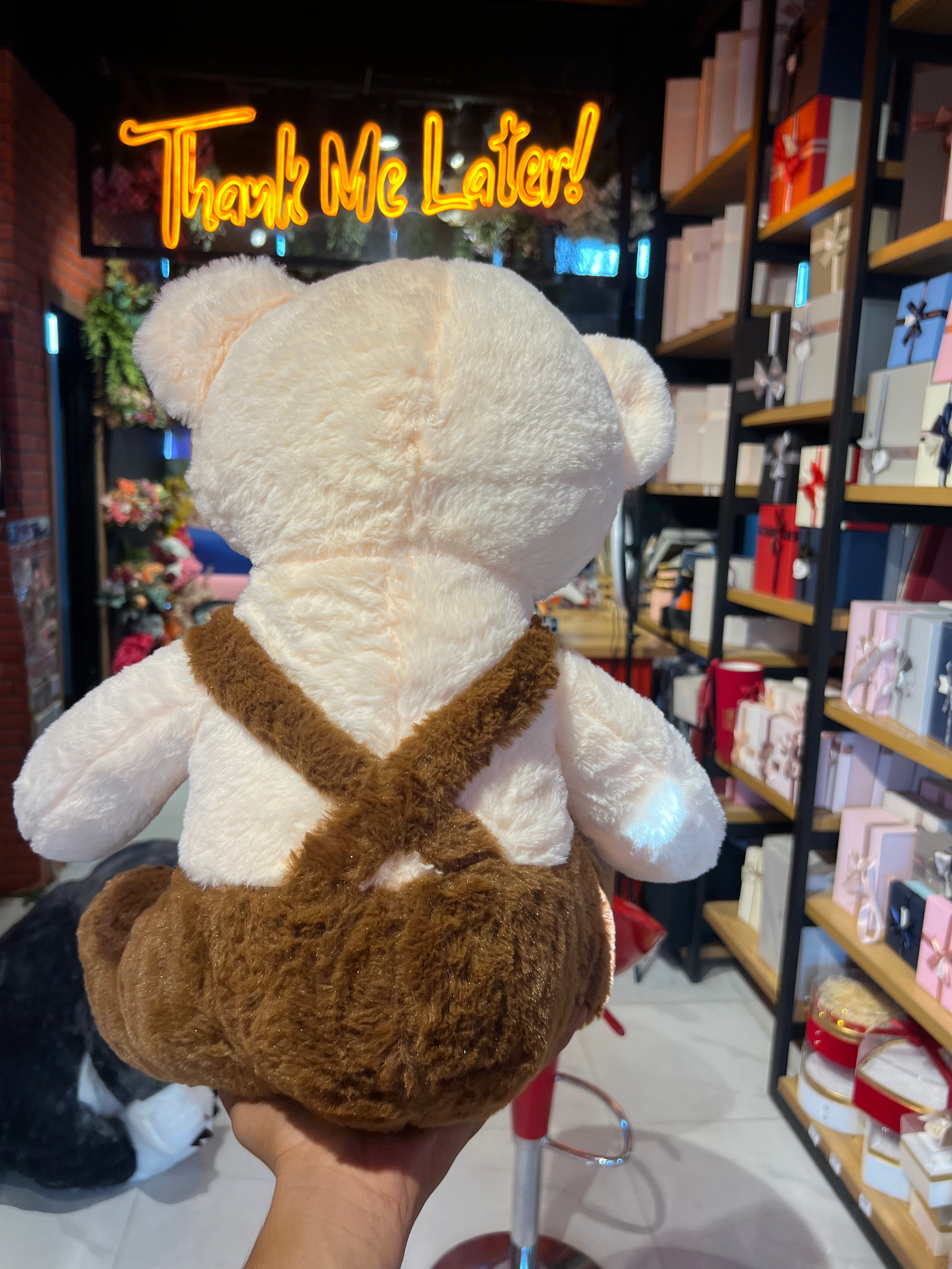 Sweet Teddy in Brown Dress