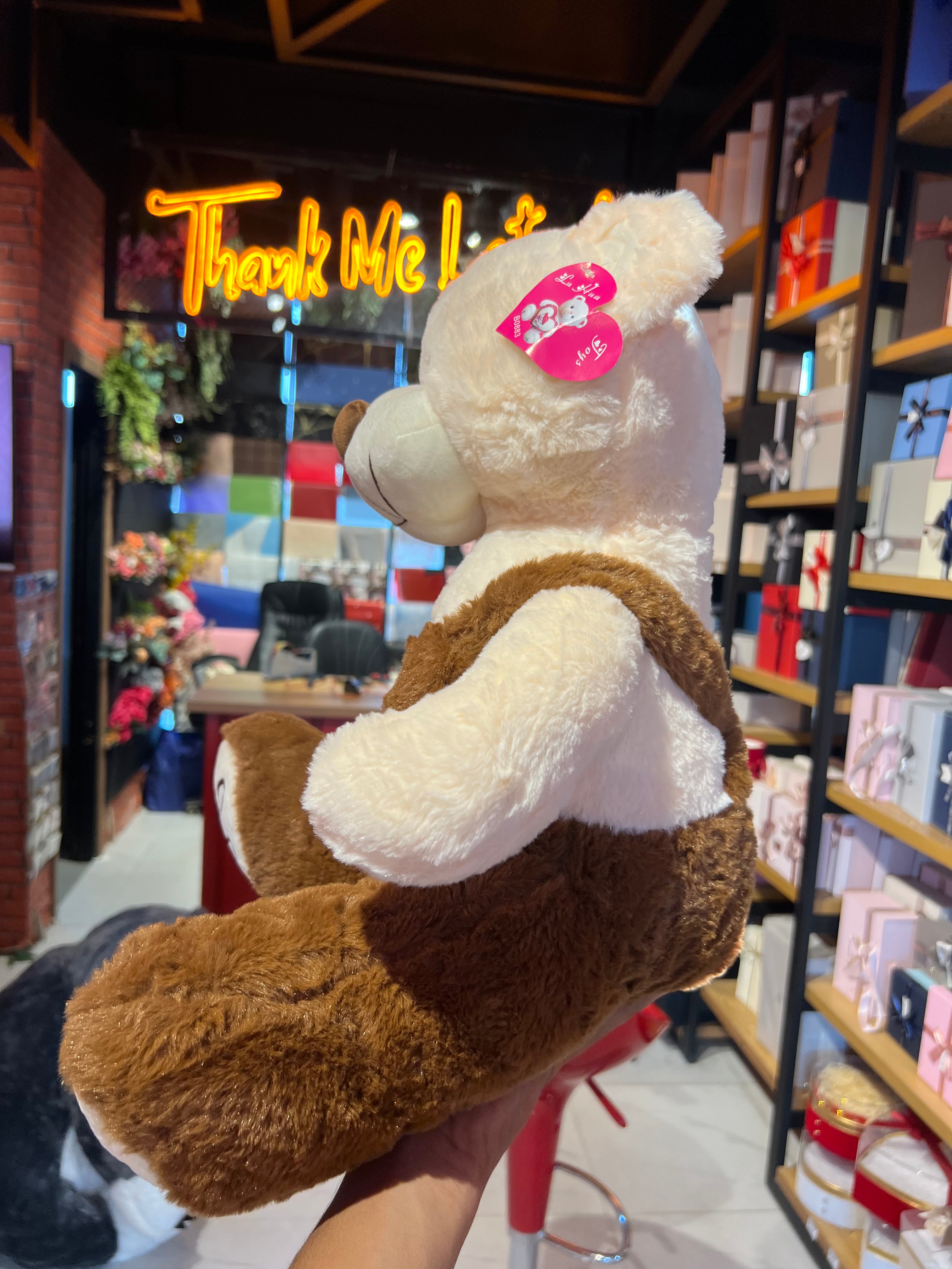 Sweet Teddy in Brown Dress