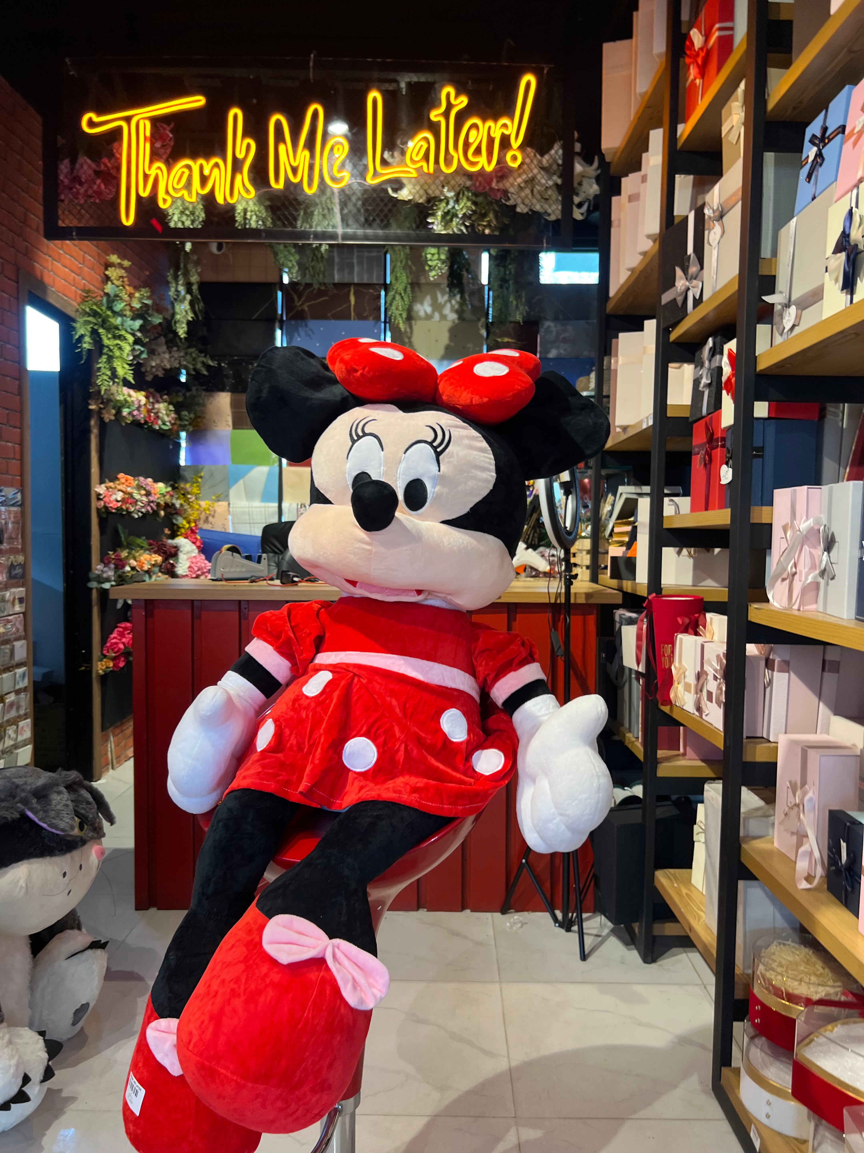Micky Mouse Teddy