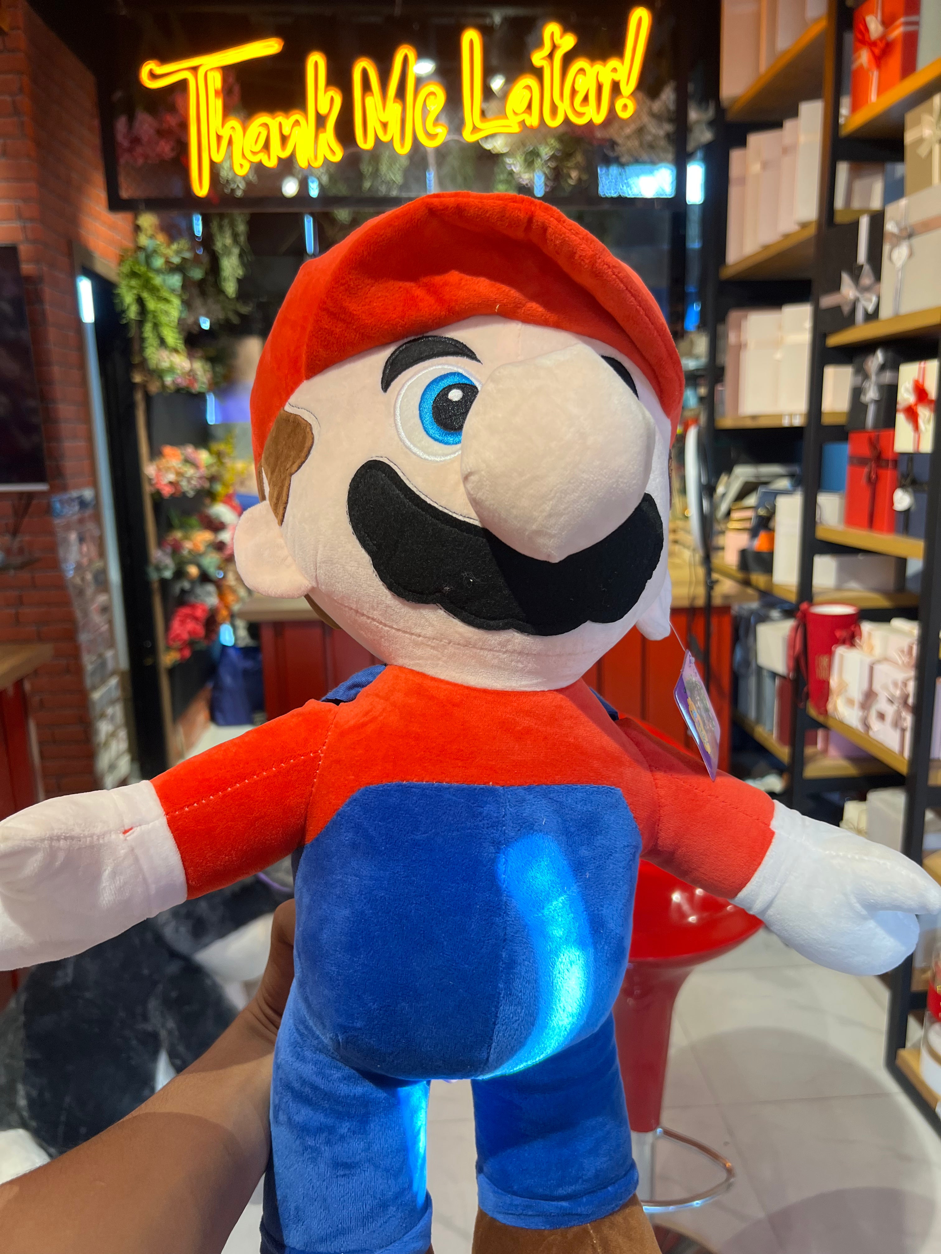 Mario Teddy