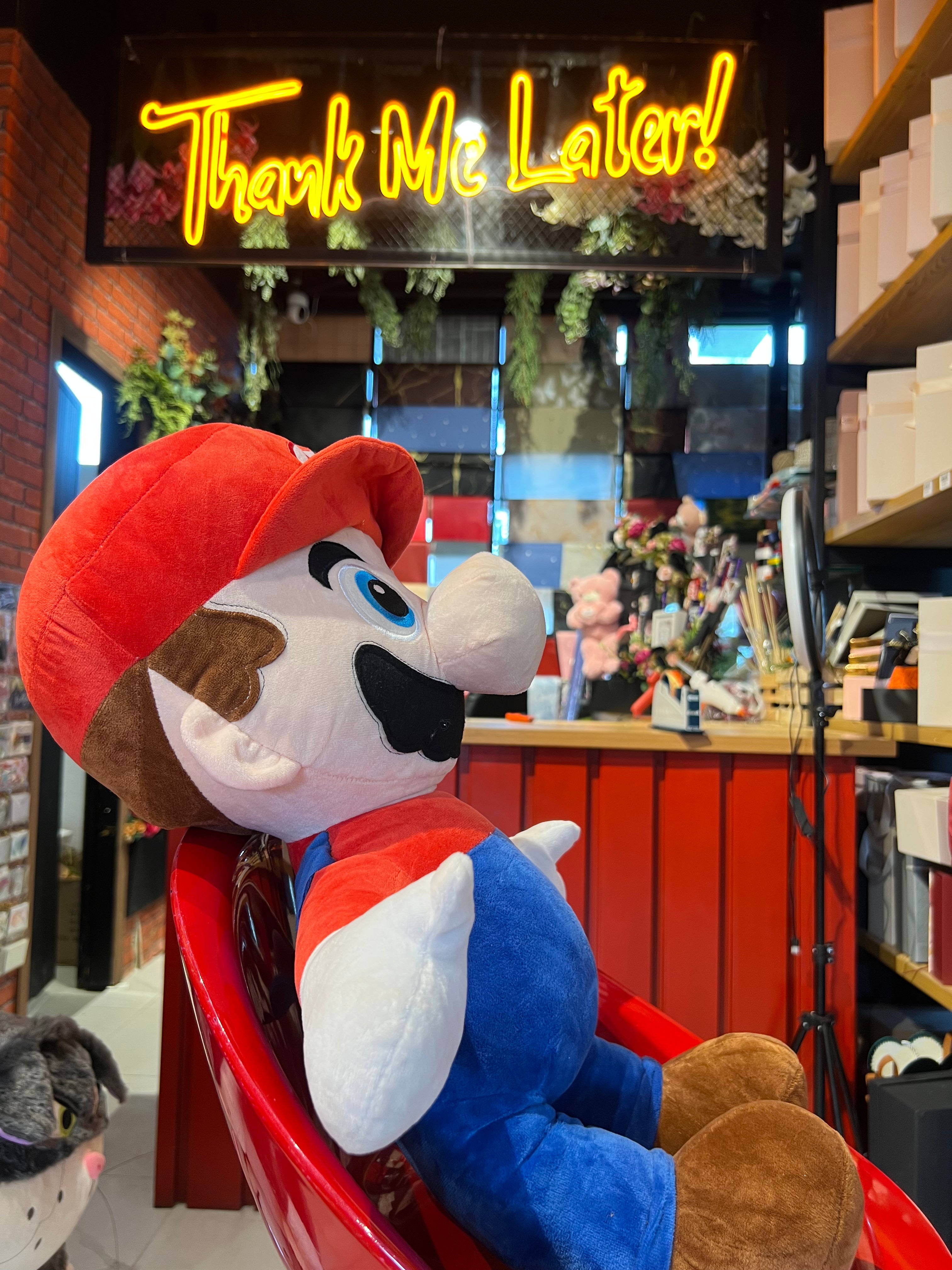 Mario Teddy