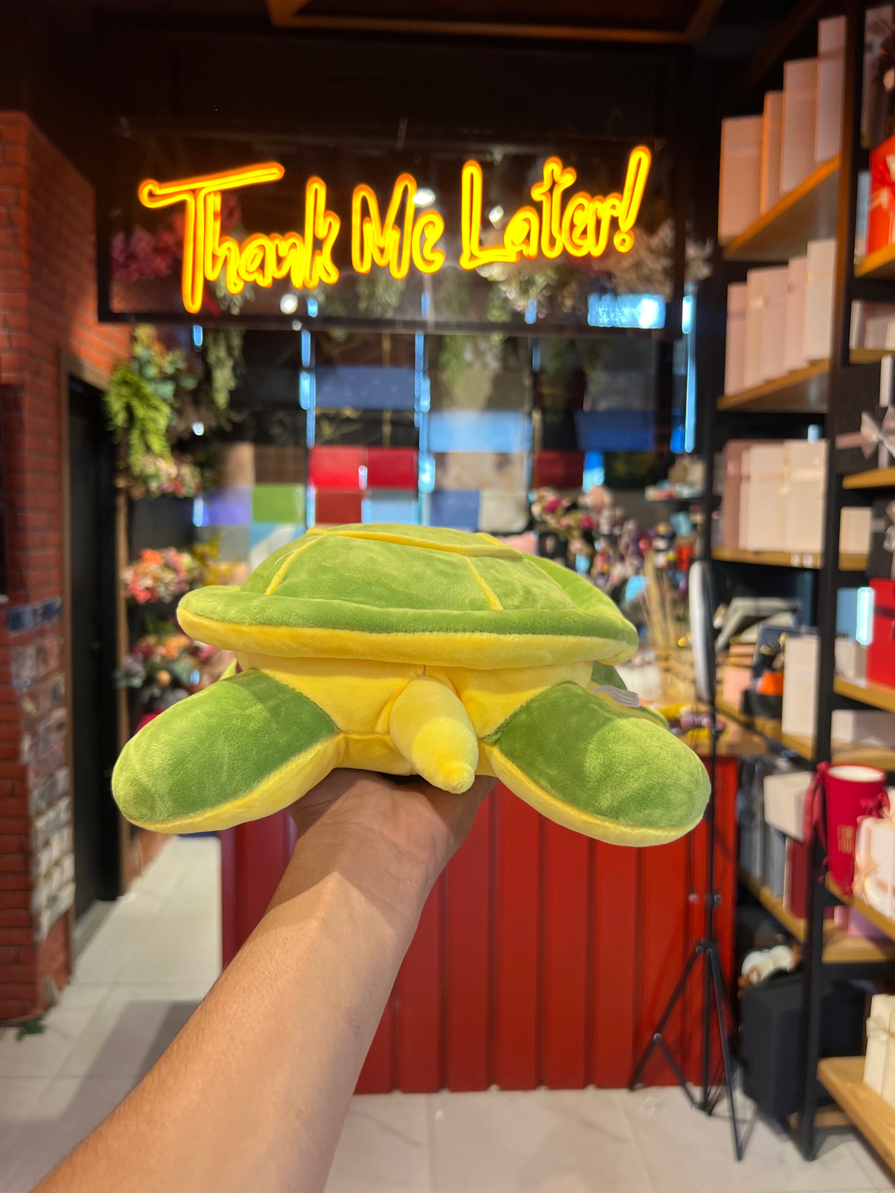 Turtle Teddy