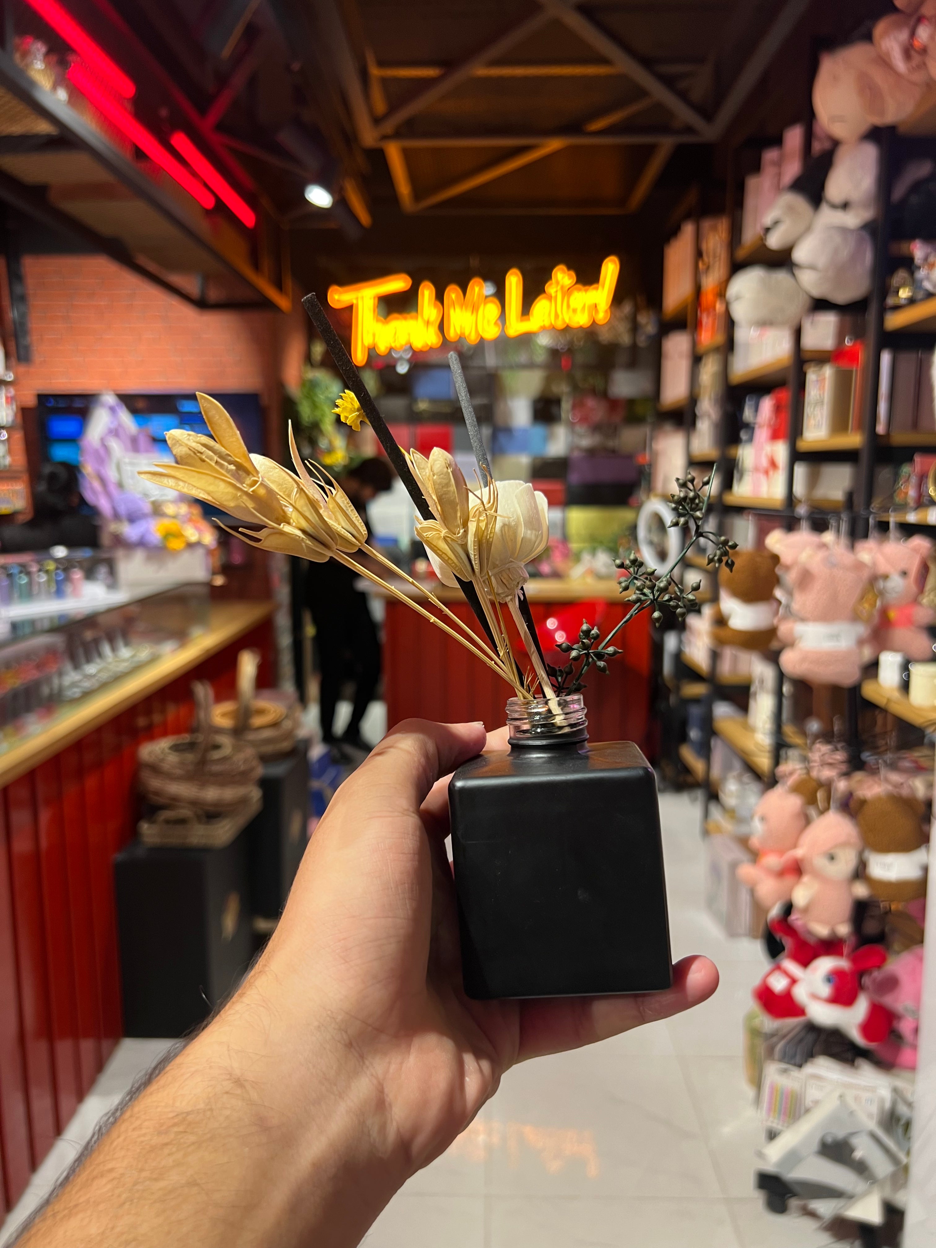 Room Diffuser for Smells Good