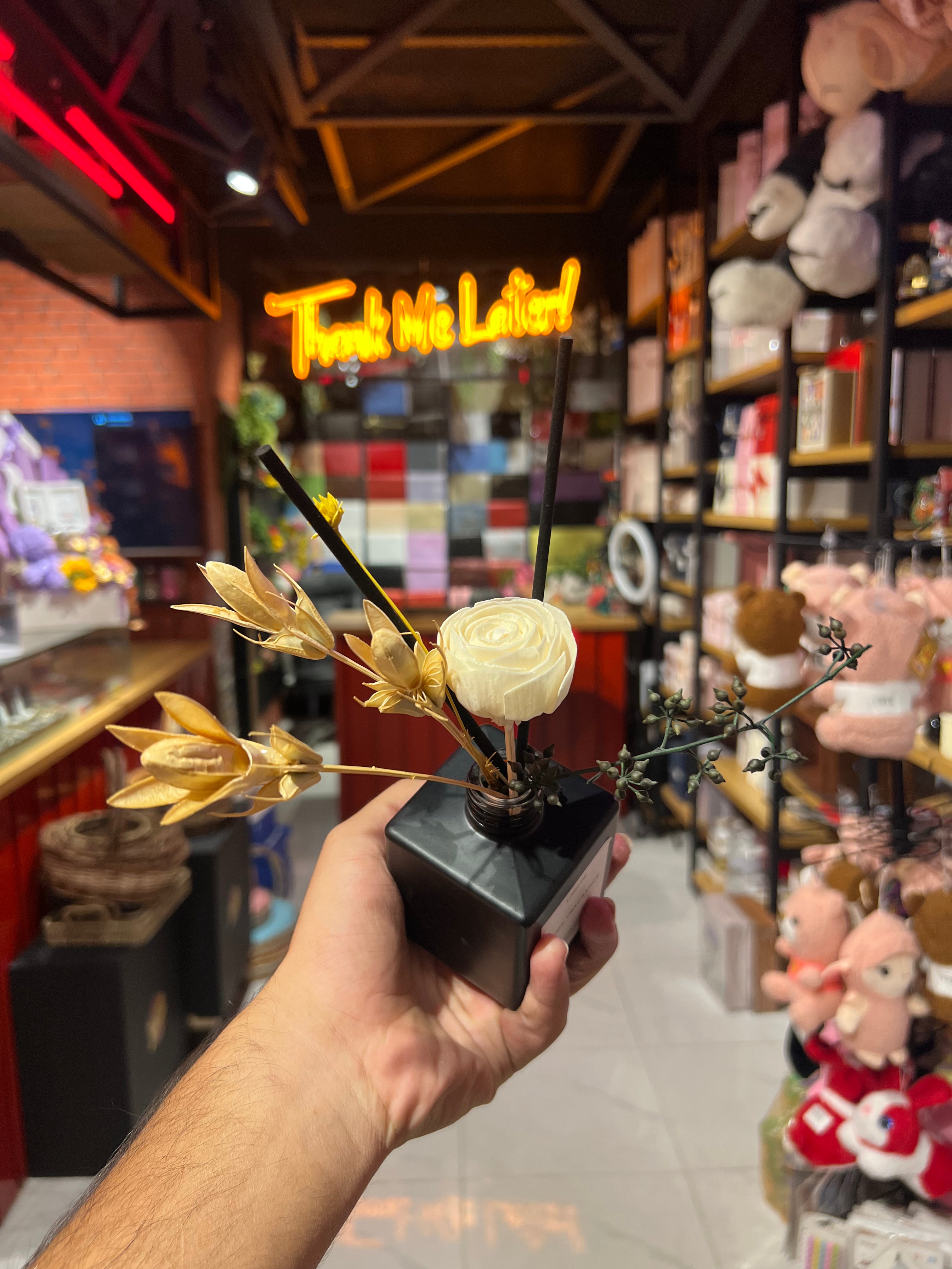 Room Diffuser for Smells Good