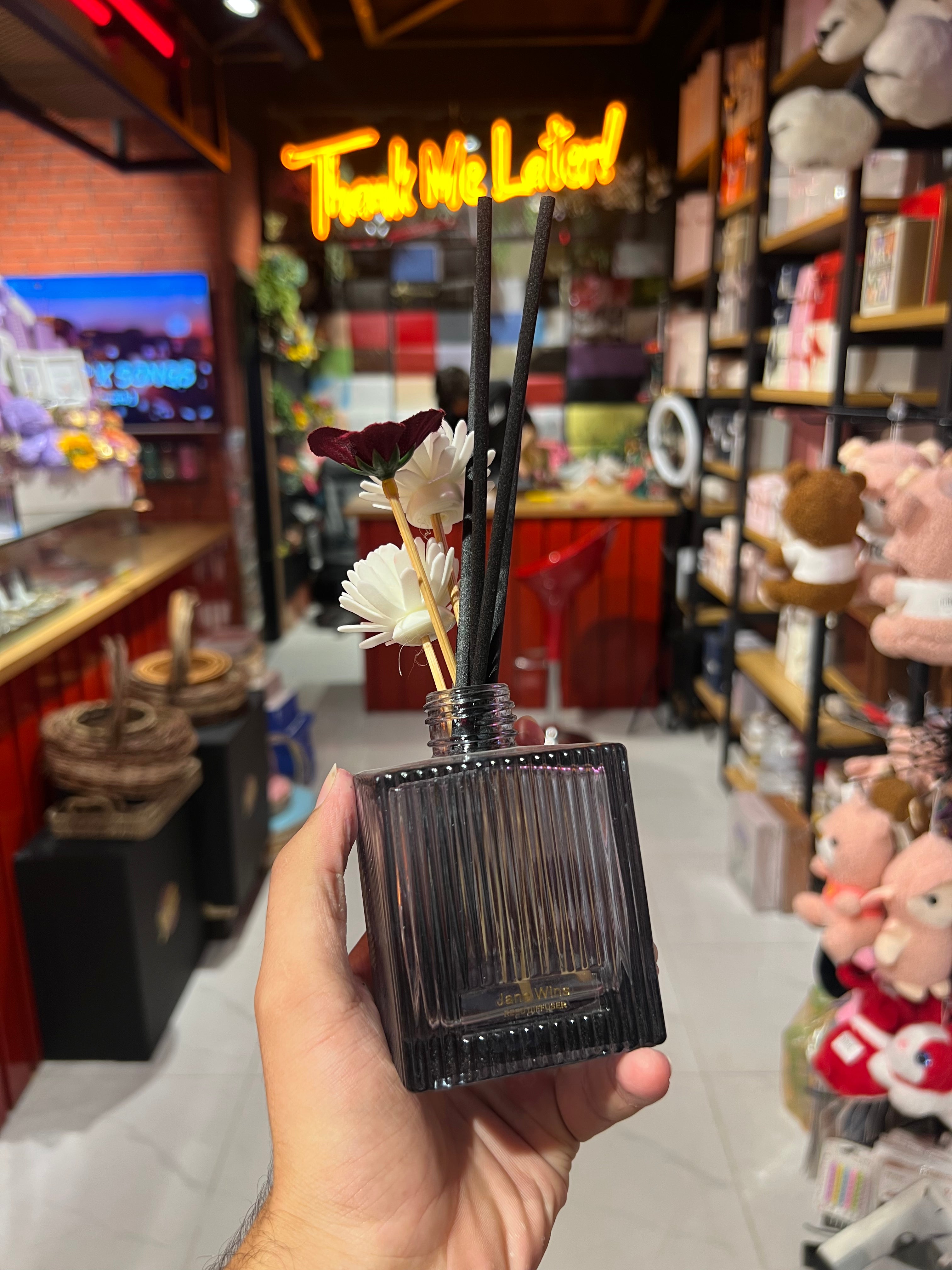 Perfect Fragrance Room Diffuser