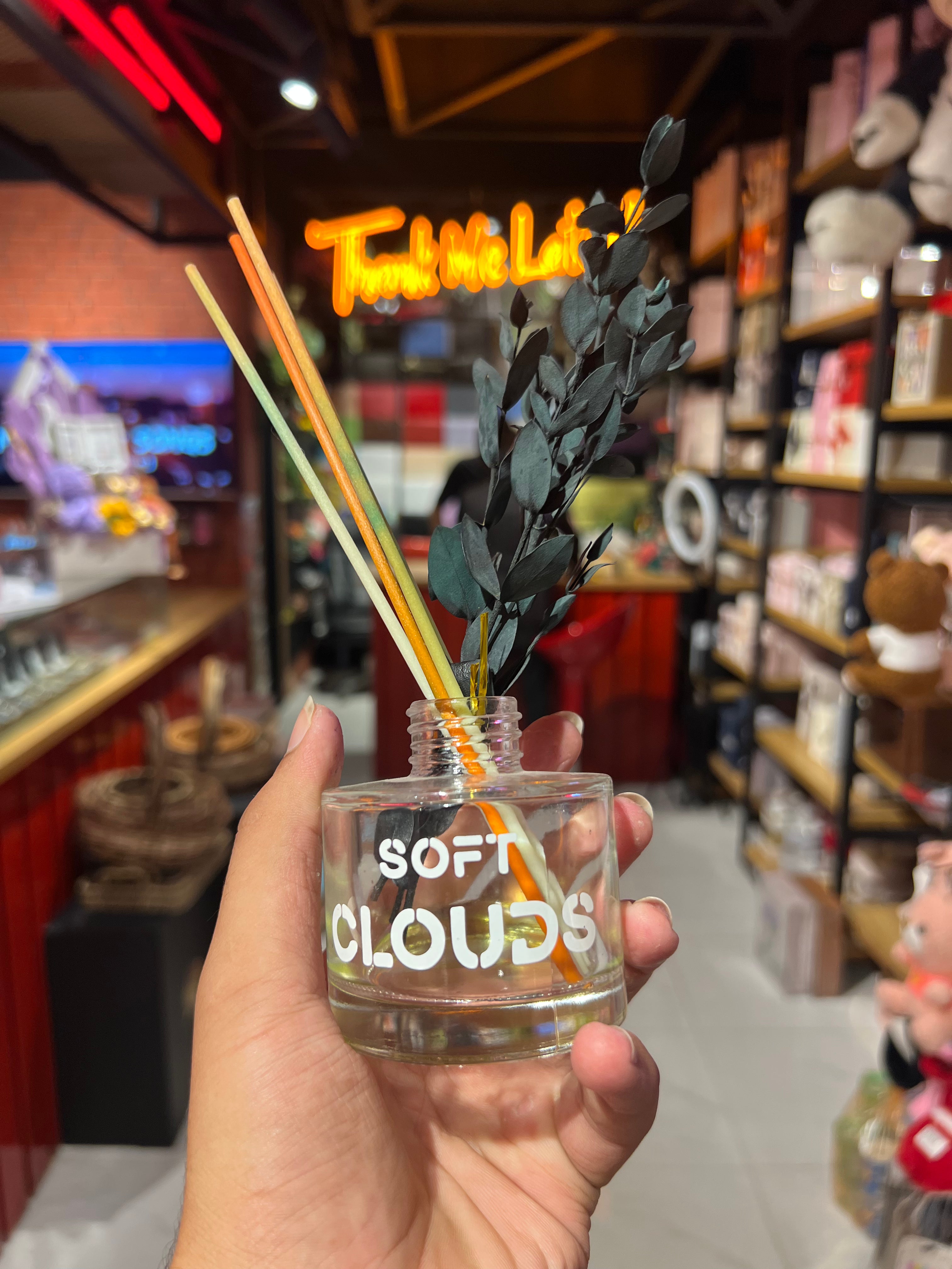 Soft Cloud Room Diffuser