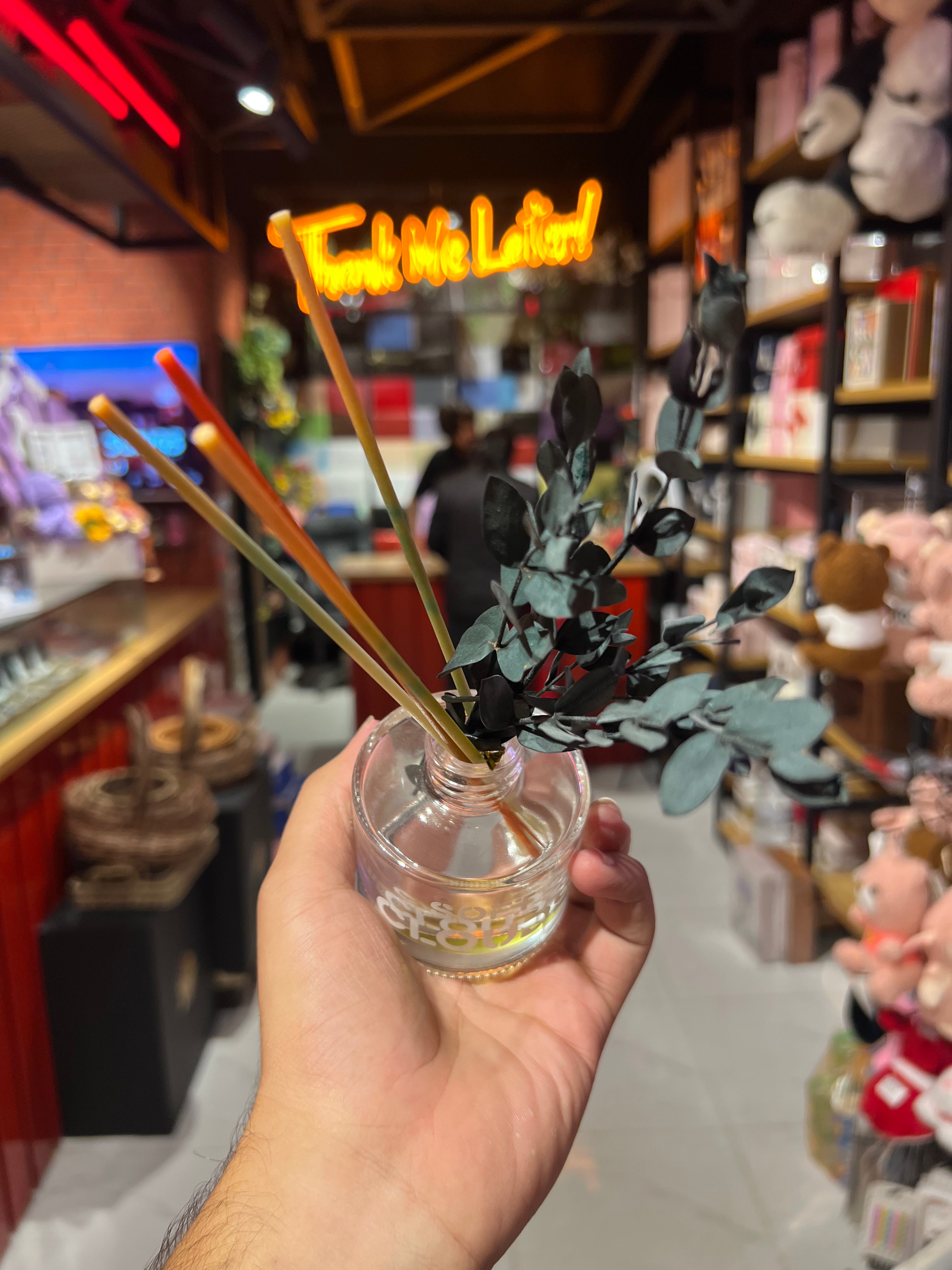 Soft Cloud Room Diffuser