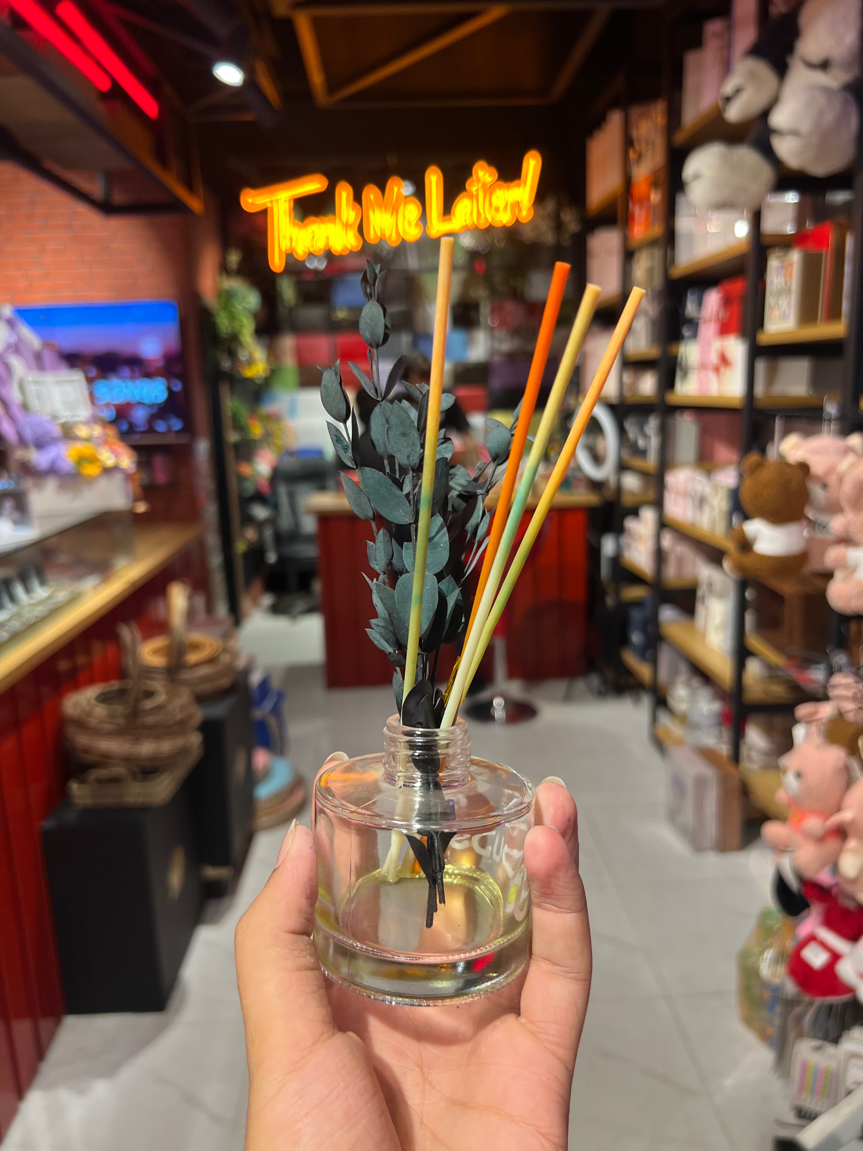 Soft Cloud Room Diffuser