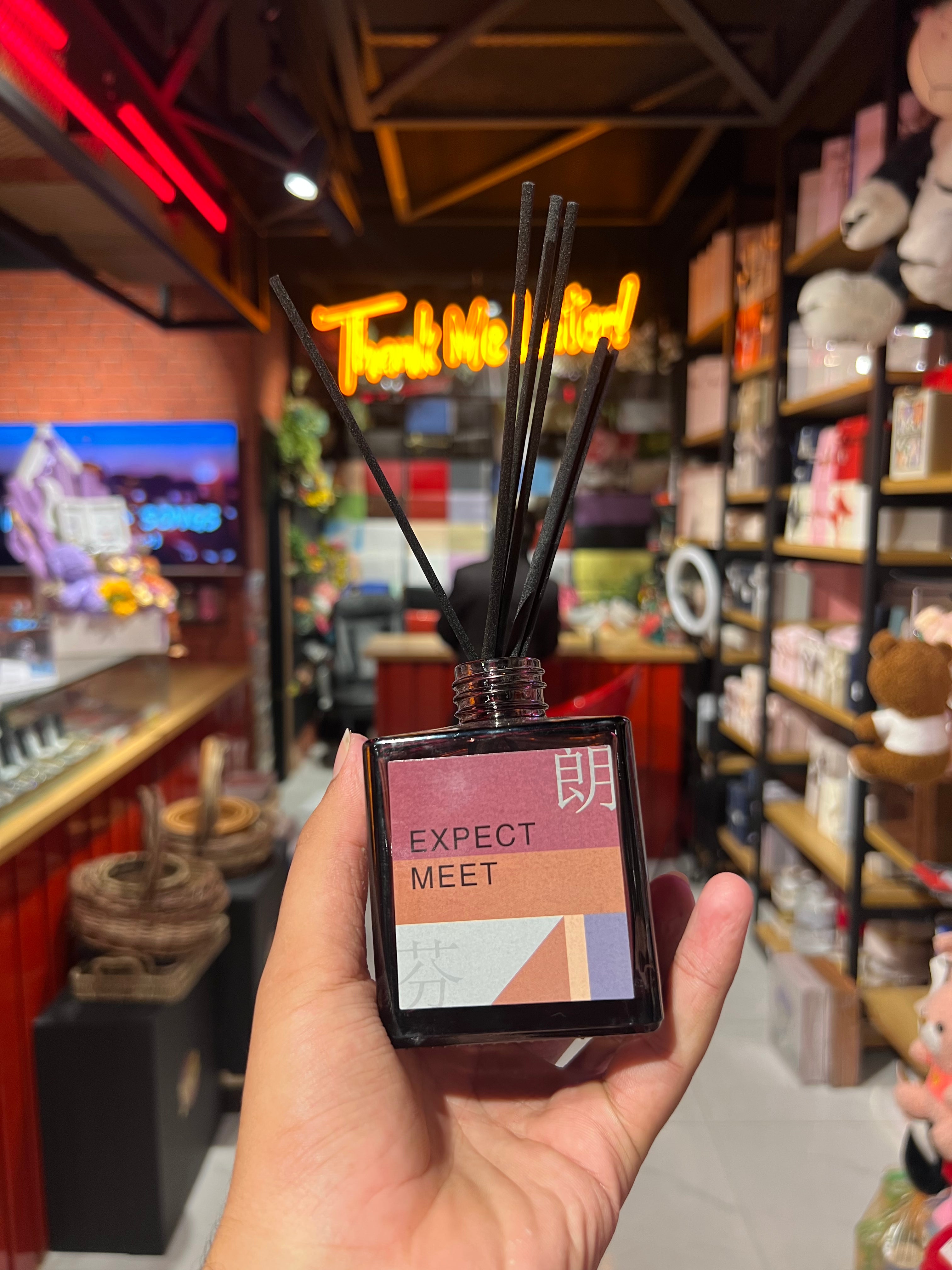 Expect Meet Room Diffuser