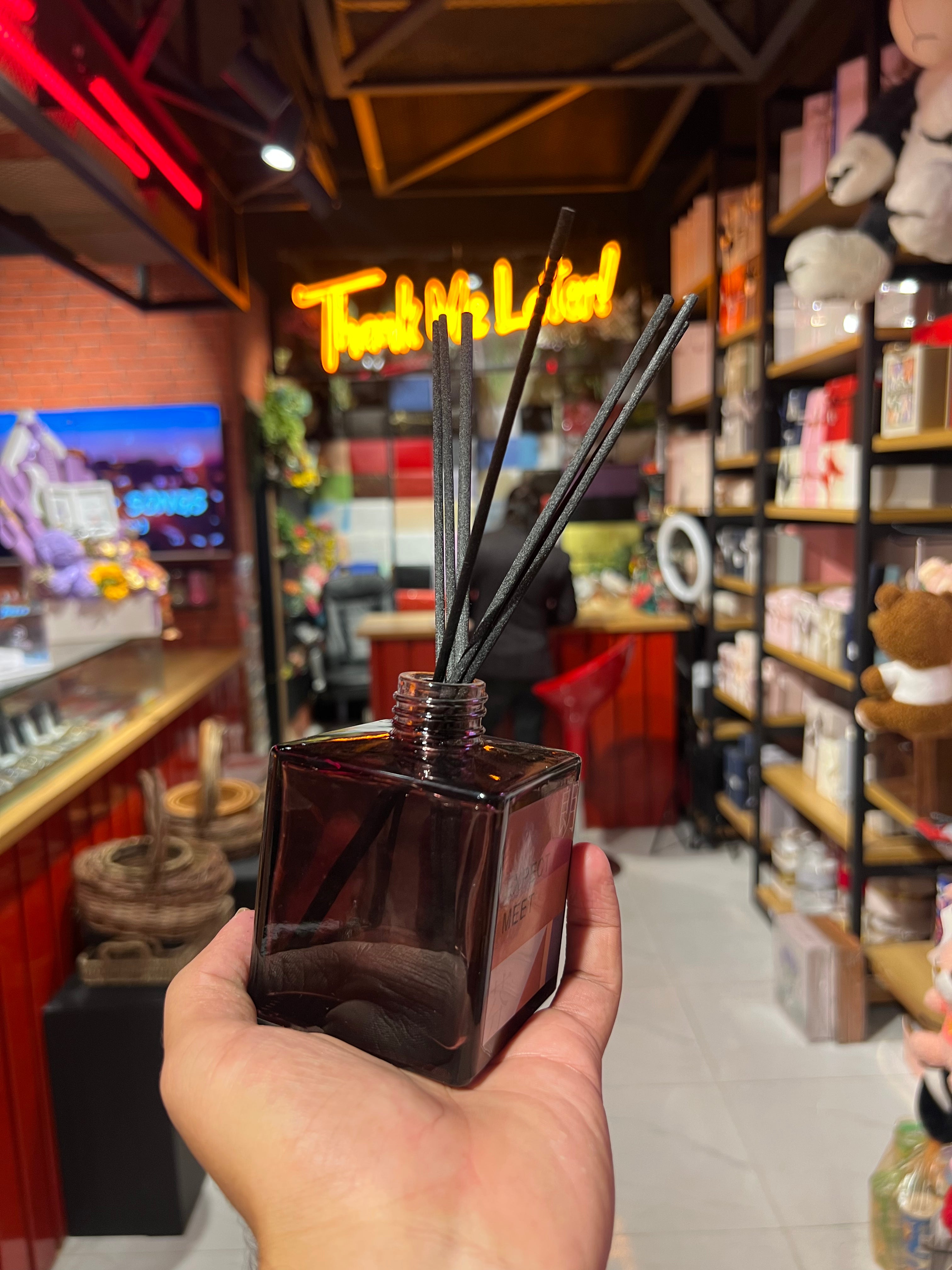 Expect Meet Room Diffuser