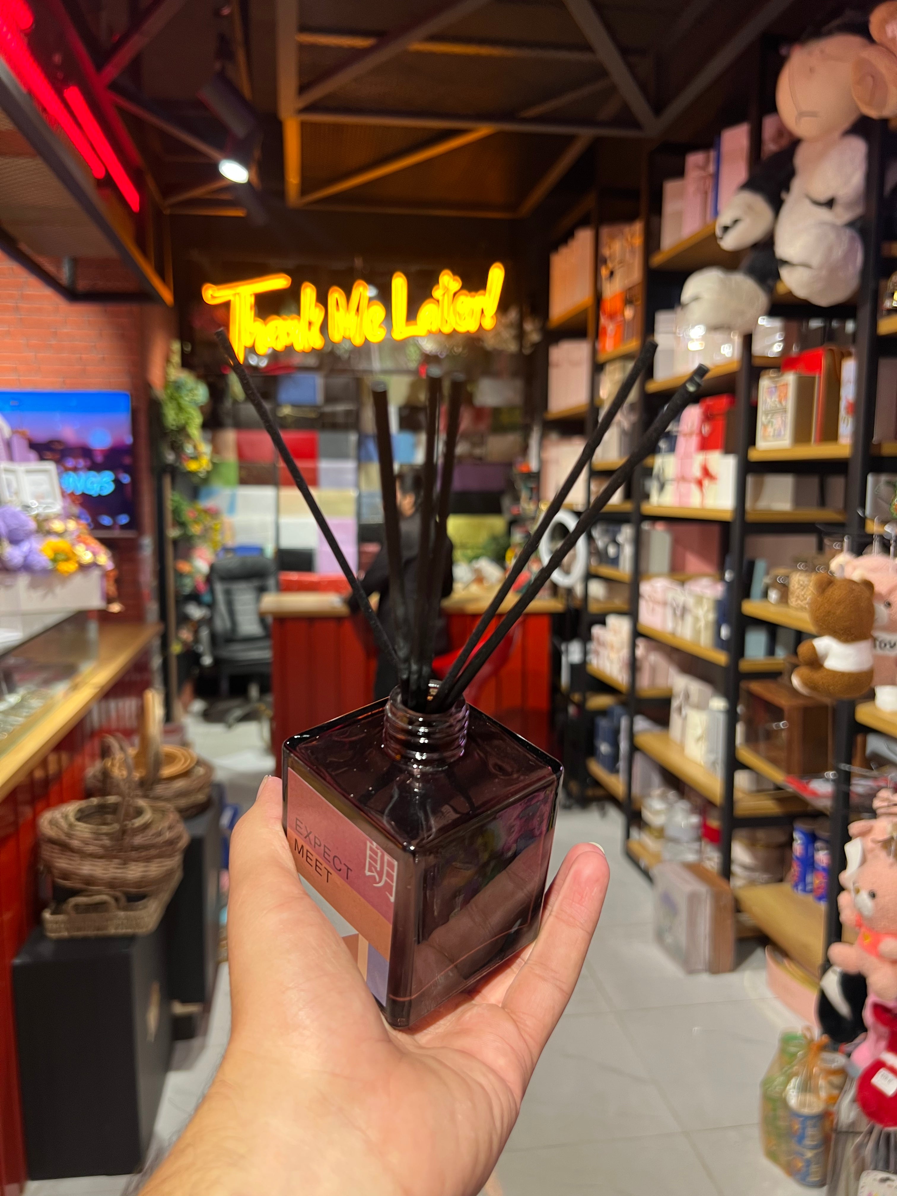 Expect Meet Room Diffuser