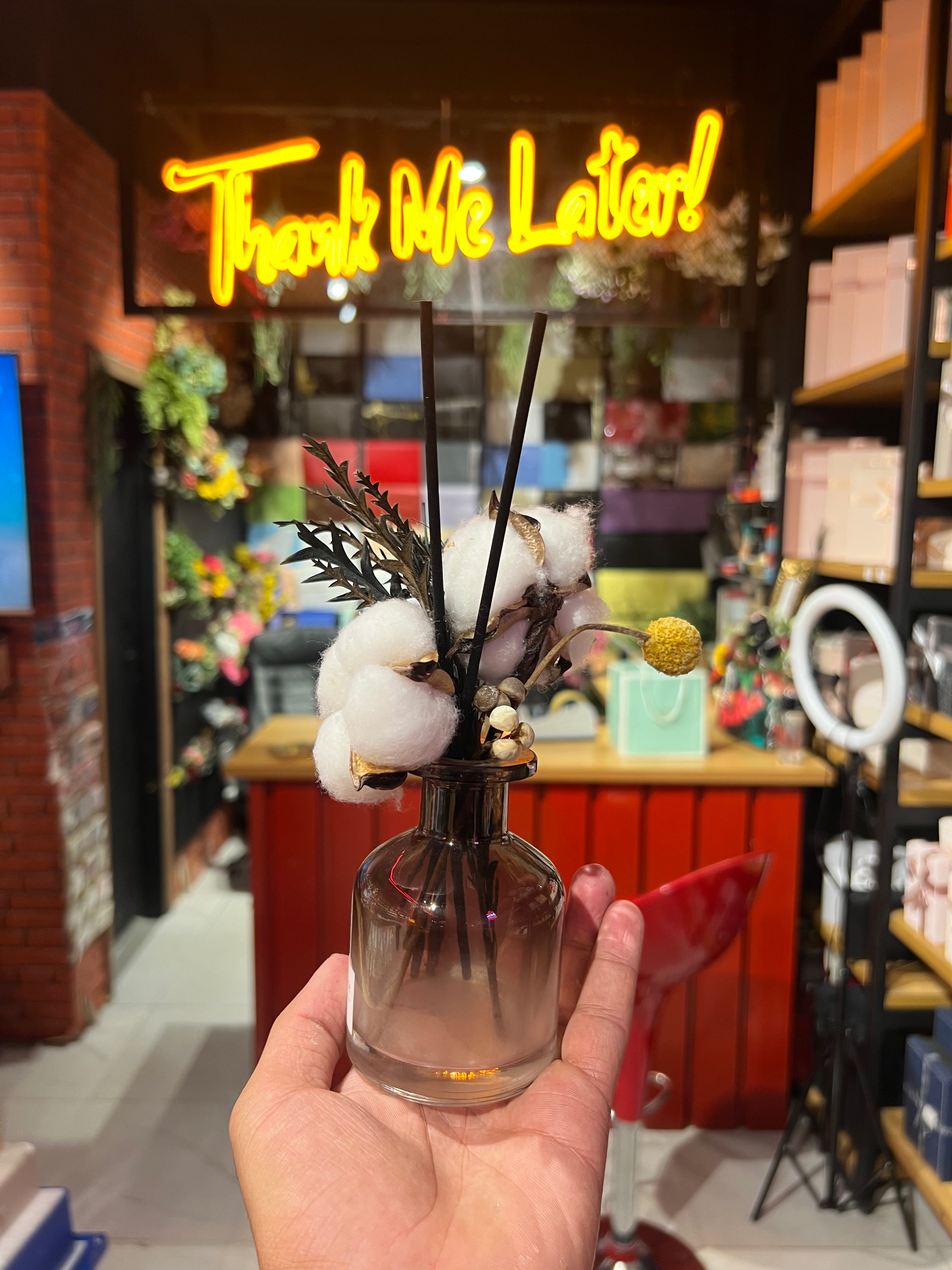 Home Fragrance Diffuser