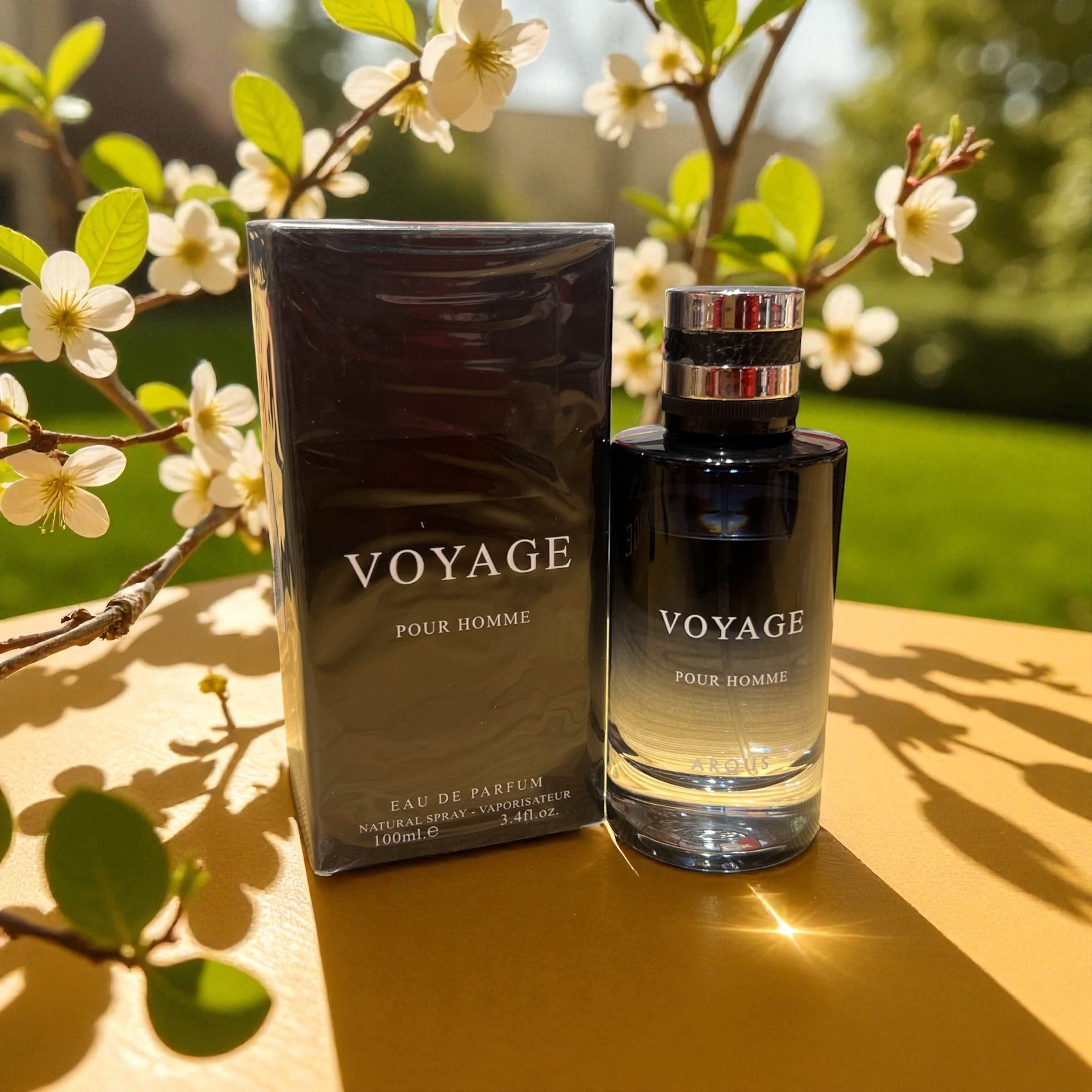 Voyage Perfume for Men's